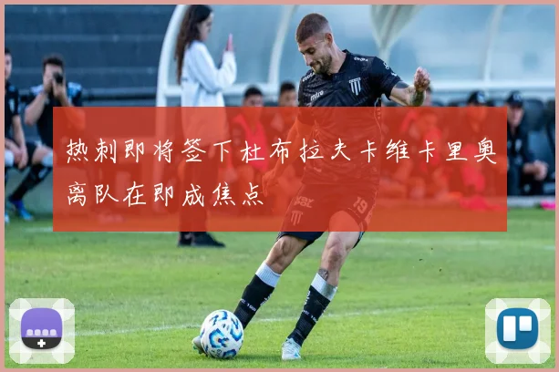 热刺即将签下杜布拉夫卡维卡里奥离队在即成焦点
